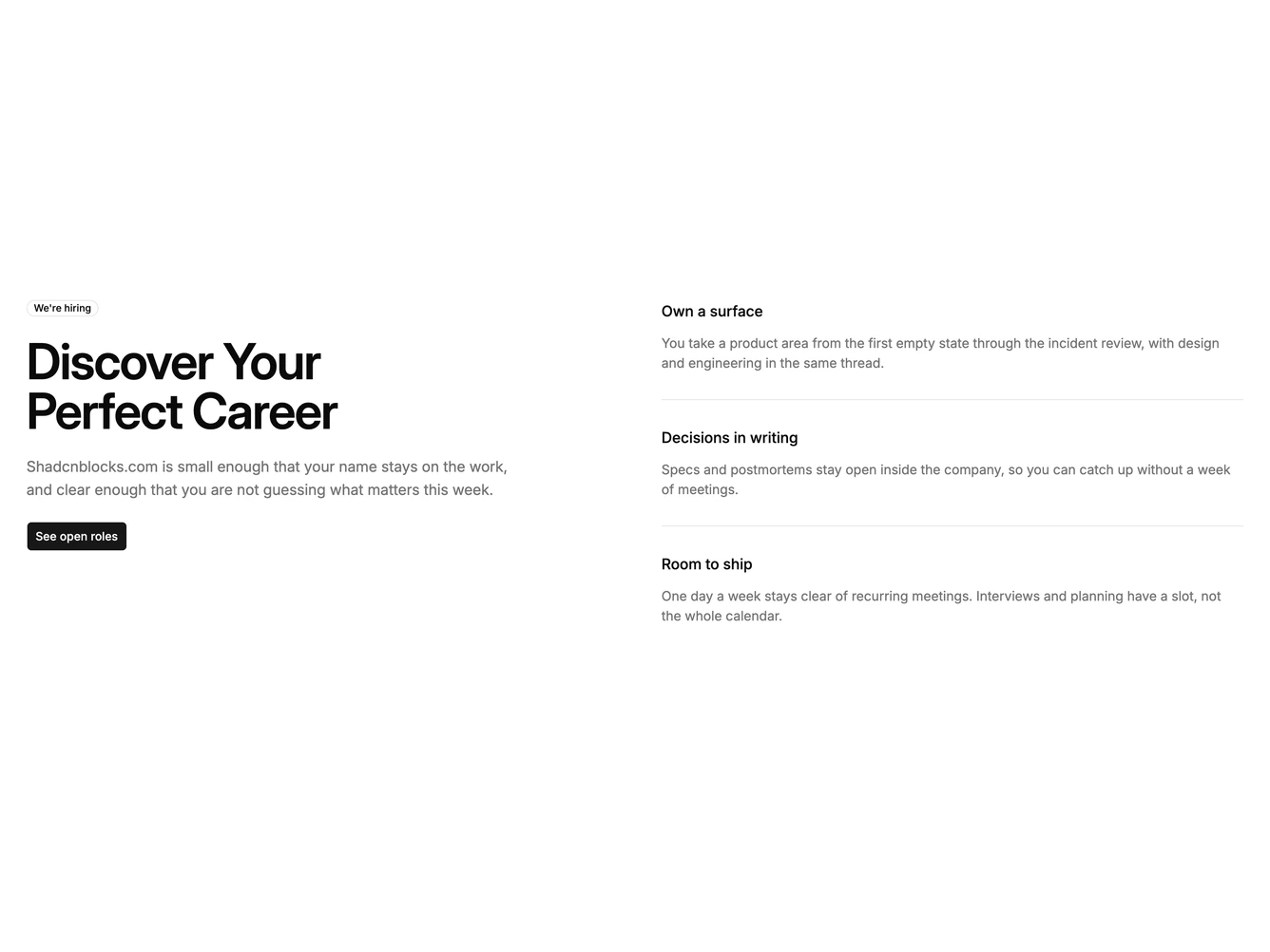 Shadcn Careers Intro 2 - Company intro beside reasons