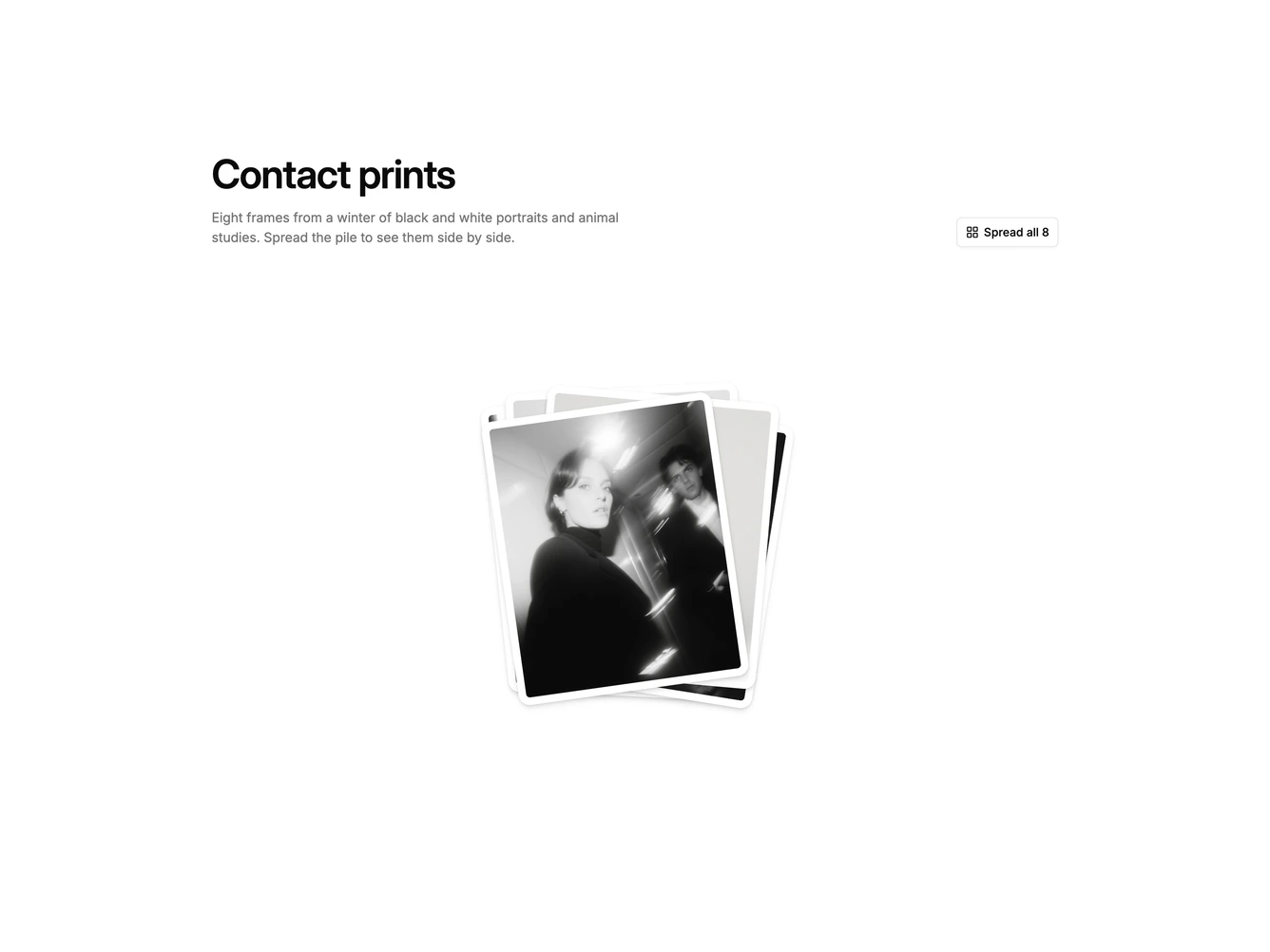 Shadcn Gallery 100 - Photo Pile To Grid
