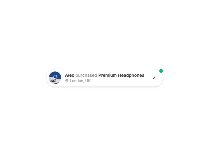 Shadcn Live Purchase Blocks