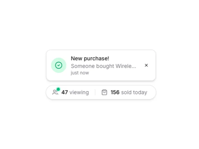 Shadcn Live Purchase 3