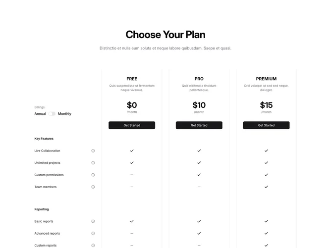 Shadcn Pricing 9
