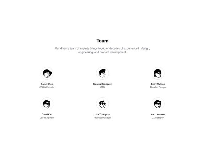 Shadcn Team 1