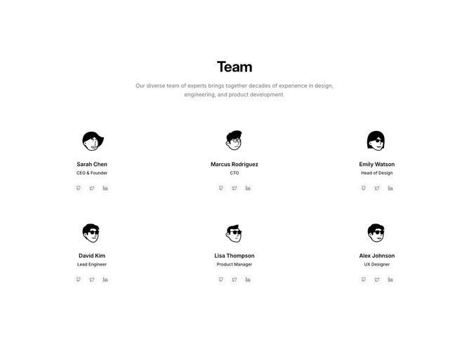 Shadcn Team 2