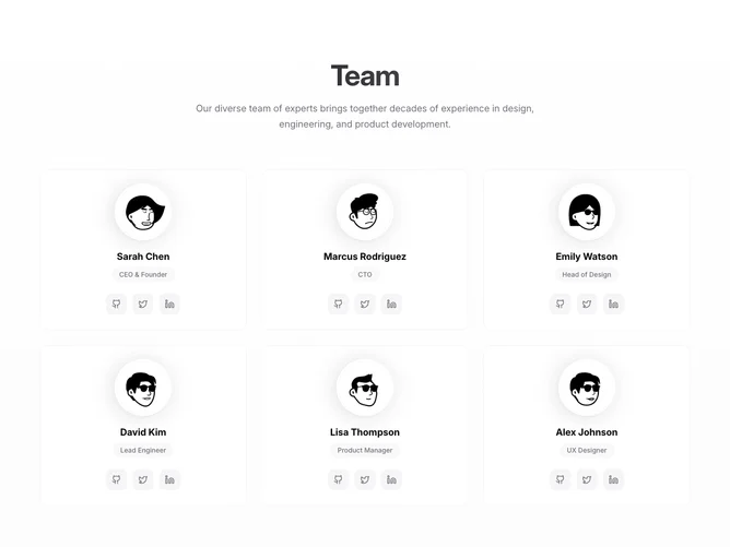 Shadcn Team 3