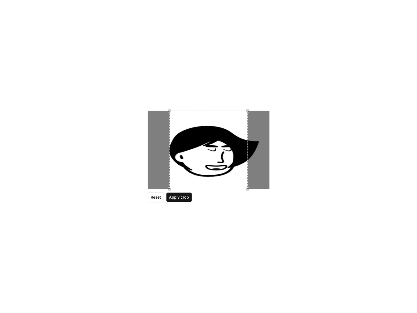 Shadcn Image Crop Components