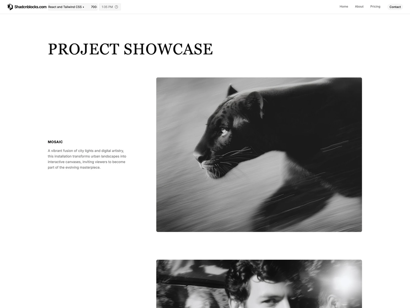 Shadcn Projects Page 4 page
