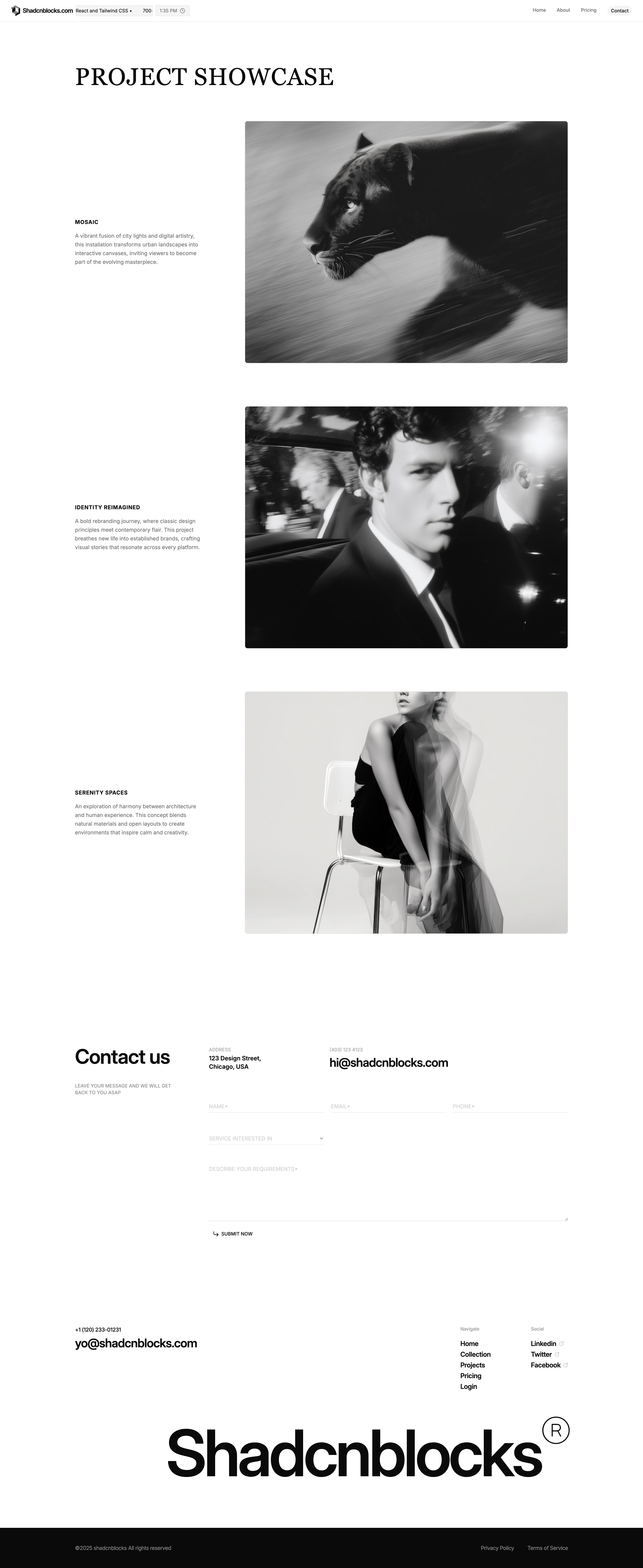 Shadcn Projects Page 4 - Editorial projects page with serif heading